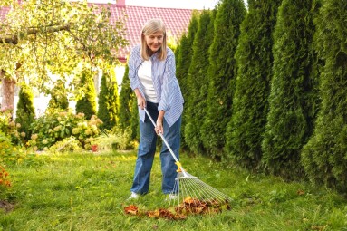 Senior,Woman,Gathering,Fallen,Leaves,With,Fan,Rake,On,Green